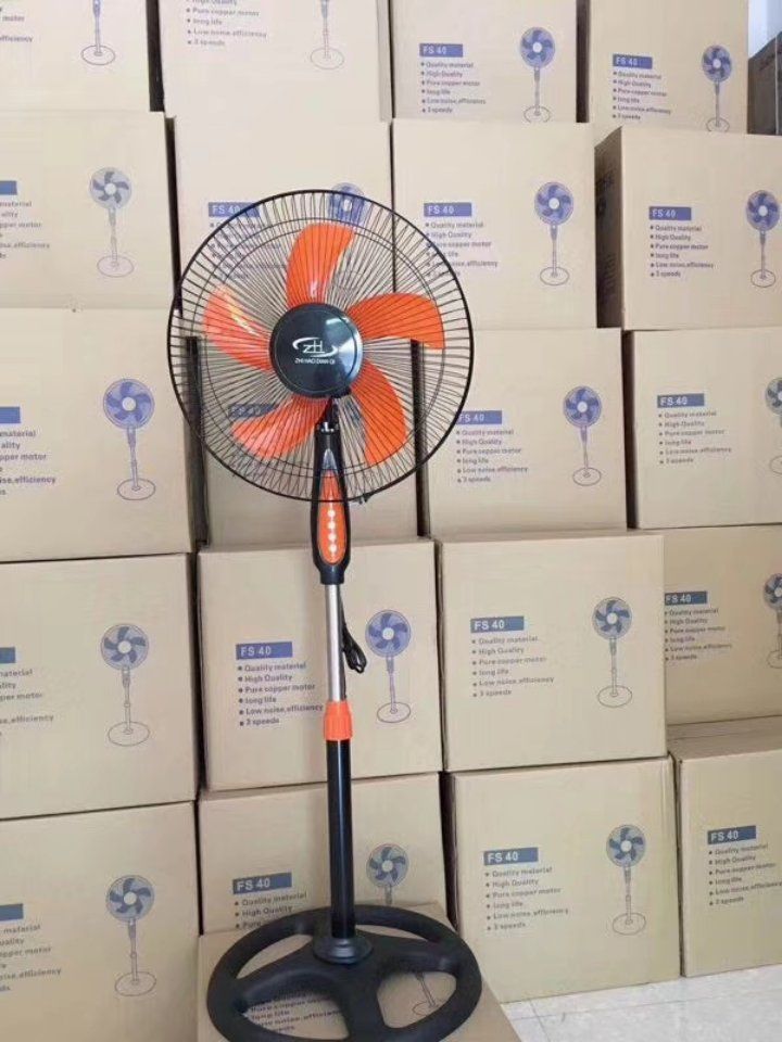 Fan