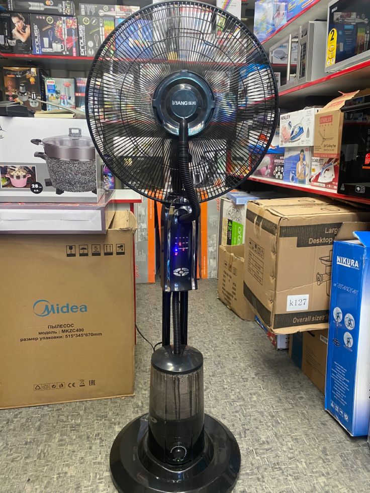 Fan
